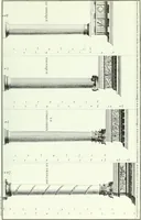 An illustration from L'ordre françois trouvé dans la nature, présenté au roi le 21 septembre 1776. Orné de planches gravées d'après les dessins de l'auteur (1783)
