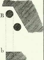 An illustration from L'ordre françois trouvé dans la nature, présenté au roi le 21 septembre 1776. Orné de planches gravées d'après les dessins de l'auteur (1783)