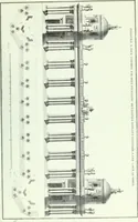 Picture 26 of 34 from L'ordre françois trouvé dans la nature, présenté au roi le 21 septembre 1776. Orné de planches gravées d'après les dessins de l'auteur (1783), leaf 96