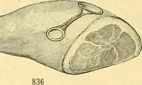 An illustration from L'orfevrerie d'Ercuis ... fonderies, laminoirs et ateliers d'orfevrerie, d'argenture et dorure a Ercuis (Oise). (1911)
