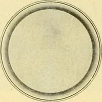 An illustration from L'orfevrerie d'Ercuis ... fonderies, laminoirs et ateliers d'orfevrerie, d'argenture et dorure a Ercuis (Oise). (1911)