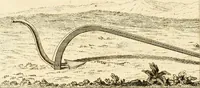 Picture 13 of 38 from De l'origine des loix, des arts, et des sciences, et de leurs progrès chez les anciens peuples (1758), leaf 117
