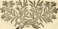 An illustration from De l'origine des loix, des arts, et des sciences, et de leurs progrès chez les anciens peuples (1758)