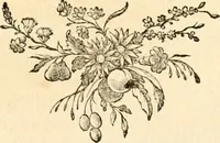 An illustration from De l'origine des loix, des arts, et des sciences, et de leurs progrès chez les anciens peuples (1758)