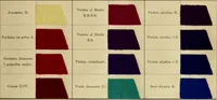 An illustration from Los colores de anilina de la Badische Anilin- & Soda-Fabrik, Ludwigshafen s/Rhin y su aplicación sobre lana, algodón, seda y otras fibras textiles (1902)