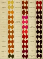 An illustration from Los colores de anilina de la Badische Anilin- & Soda-Fabrik, Ludwigshafen s/Rhin y su aplicación sobre lana, algodón, seda y otras fibras textiles (1902)