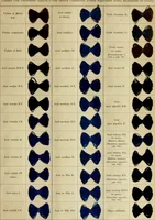 An illustration from Los colores de anilina de la Badische Anilin- & Soda-Fabrik, Ludwigshafen s/Rhin y su aplicación sobre lana, algodón, seda y otras fibras textiles (1902)