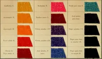 An illustration from Los colores de anilina de la Badische Anilin- & Soda-Fabrik, Ludwigshafen s/Rhin y su aplicación sobre lana, algodón, seda y otras fibras textiles (1902)