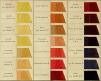 An illustration from Los colores de anilina de la Badische Anilin- & Soda-Fabrik, Ludwigshafen s/Rhin y su aplicación sobre lana, algodón, seda y otras fibras textiles (1902)