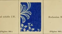 Picture 21 of 22 from Los colores de anilina de la Badische Anilin- & Soda-Fabrik, Ludwigshafen s/Rhin y su aplicación sobre lana, algodón, seda y otras fibras textiles (1902), leaf 514