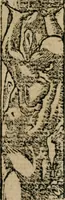 Picture 264 of 545 from Los emblemas de Alciato : traducidos en rhimas españolas ... (1549), leaf 126