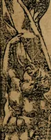 An illustration from Los emblemas de Alciato : traducidos en rhimas españolas ... (1549)