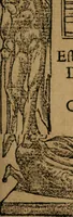 An illustration from Los emblemas de Alciato : traducidos en rhimas españolas ... (1549)