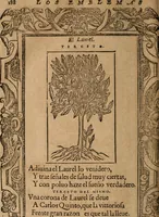 Picture 405 of 545 from Los emblemas de Alciato : traducidos en rhimas españolas ... (1549), leaf 191