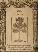 Picture 410 of 545 from Los emblemas de Alciato : traducidos en rhimas españolas ... (1549), leaf 193