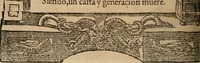 An illustration from Los emblemas de Alciato : traducidos en rhimas españolas ... (1549)