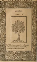 An illustration from Los emblemas de Alciato : traducidos en rhimas españolas ... (1549)
