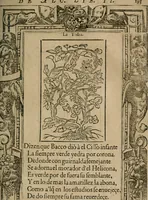 Picture 416 of 545 from Los emblemas de Alciato : traducidos en rhimas españolas ... (1549), leaf 196