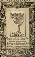Picture 419 of 545 from Los emblemas de Alciato : traducidos en rhimas españolas ... (1549), leaf 197
