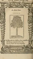 An illustration from Los emblemas de Alciato : traducidos en rhimas españolas ... (1549)