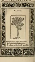 An illustration from Los emblemas de Alciato : traducidos en rhimas españolas ... (1549)
