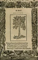 An illustration from Los emblemas de Alciato : traducidos en rhimas españolas ... (1549)