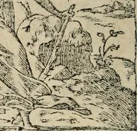 An illustration from Los emblemas de Alciato : traducidos en rhimas españolas ... (1549)