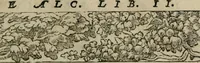 Picture 478 of 545 from Los emblemas de Alciato : traducidos en rhimas españolas ... (1549), leaf 228