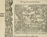 Picture 505 of 545 from Los emblemas de Alciato : traducidos en rhimas españolas ... (1549), leaf 239