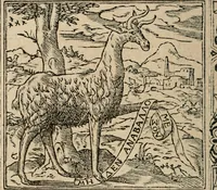 Picture 518 of 545 from Los emblemas de Alciato : traducidos en rhimas españolas ... (1549), leaf 245