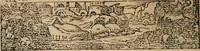 An illustration from Los emblemas de Alciato : traducidos en rhimas españolas ... (1549)