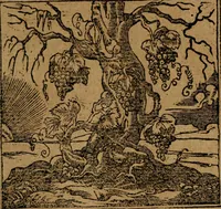 An illustration from Los emblemas de Alciato : traducidos en rhimas españolas ... (1549)