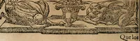 Picture 65 of 545 from Los emblemas de Alciato : traducidos en rhimas españolas ... (1549), leaf 35