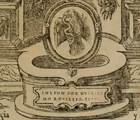 Picture 4 of 545 from Los emblemas de Alciato : traducidos en rhimas españolas ... (1549), leaf 4