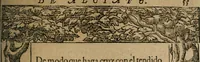 An illustration from Los emblemas de Alciato : traducidos en rhimas españolas ... (1549)