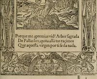 Picture 160 of 545 from Los emblemas de Alciato : traducidos en rhimas españolas ... (1549), leaf 76