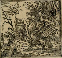 Picture 170 of 545 from Los emblemas de Alciato : traducidos en rhimas españolas ... (1549), leaf 80