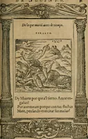 Picture 200 of 545 from Los emblemas de Alciato : traducidos en rhimas españolas ... (1549), leaf 94