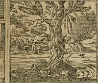 An illustration from Los emblemas de Alciato : traducidos en rhimas españolas ... (1549)