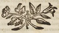 Picture 3 of 9 from Lo specchio vstorio, overo, Trattato delle settioni coniche, et alcvni loro mirabili effetti intorno al lume, caldo, freddo, suono, e moto ancora ... (1632), leaf 90