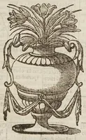 An illustration from Lo specchio vstorio (1650)