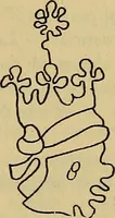 An illustration from The lost language of symbolism : an inquiry into the origin of certain letters, words, names, fairy-tales, folklore, and mythologies (1912)