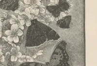 An illustration from The Lotos : a monthly magazine of literature, art and education (1896)
