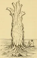 An illustration from Lough Corrib : its shores and islands ; with notices of Lough Mask (1872)