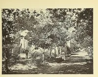 An illustration from Lovedale missionary institution, South Africa (1894)