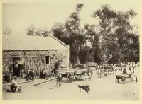 Picture 5 of 9 from Lovedale missionary institution, South Africa (1894), leaf 81