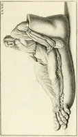 An illustration from Lucernae fictiles musei Passerii (1739)