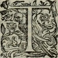 An illustration from Lud. Molinae e Societate Jesu ... De iustitia et jure tratactus : qui est de justitia commutativa circa bona corporis, personarumque nobis coniunctarum (1611)