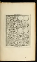 Picture 18 of 52 from Ludovici Nonni Commentarius in Huberti GoltzI Graeciam, insulas, et Asiam Minorem (1644), leaf 45