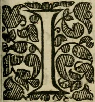 An illustration from Lumen de lumine, or, A new magicall light (1651)